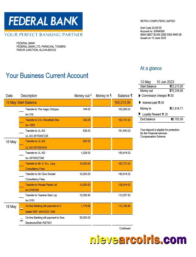 Federal Bank company account statement